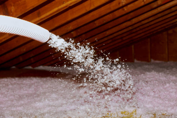 Professional Insulation Contractor in Cosmopolis, WA
