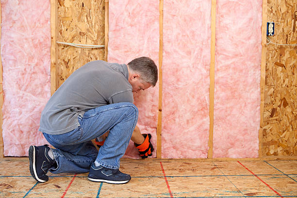 Best Cellulose Insulation in Cosmopolis, WA