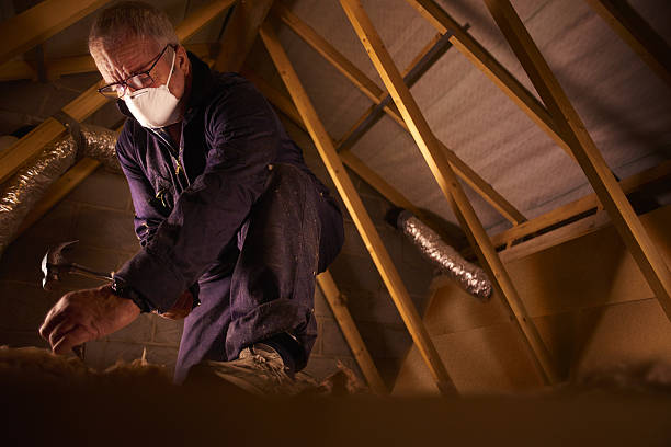 Best Eco-Friendly Insulation in Cosmopolis, WA